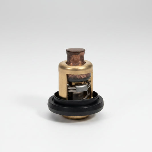 Termostato para motor fuera de borda Honda 19300-ZV5-043